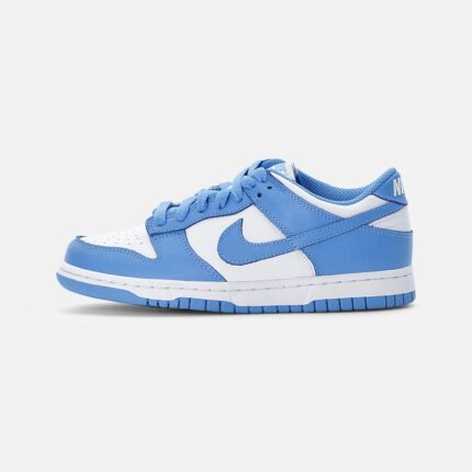 Nike Dunk Celestial